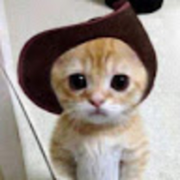 Meet your Posher, Kevin - Picture 1 of 1